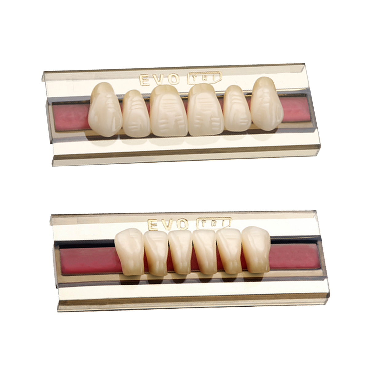 Dente Delara Anterior T44 S Bl3 1x6 134 - DentalABS