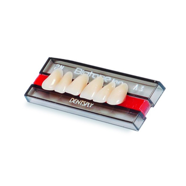 Dente Biotone IPN - modelos anteriores - Escala Vita