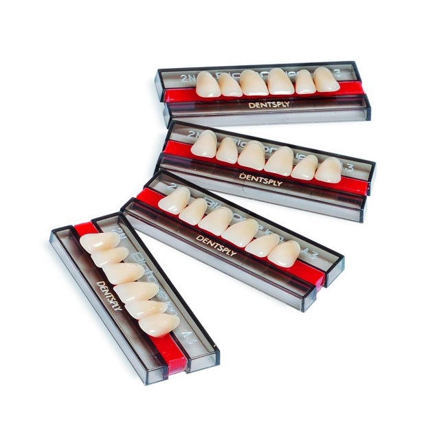 Dente Biotone IPN - modelos anteriores - Escala Vita