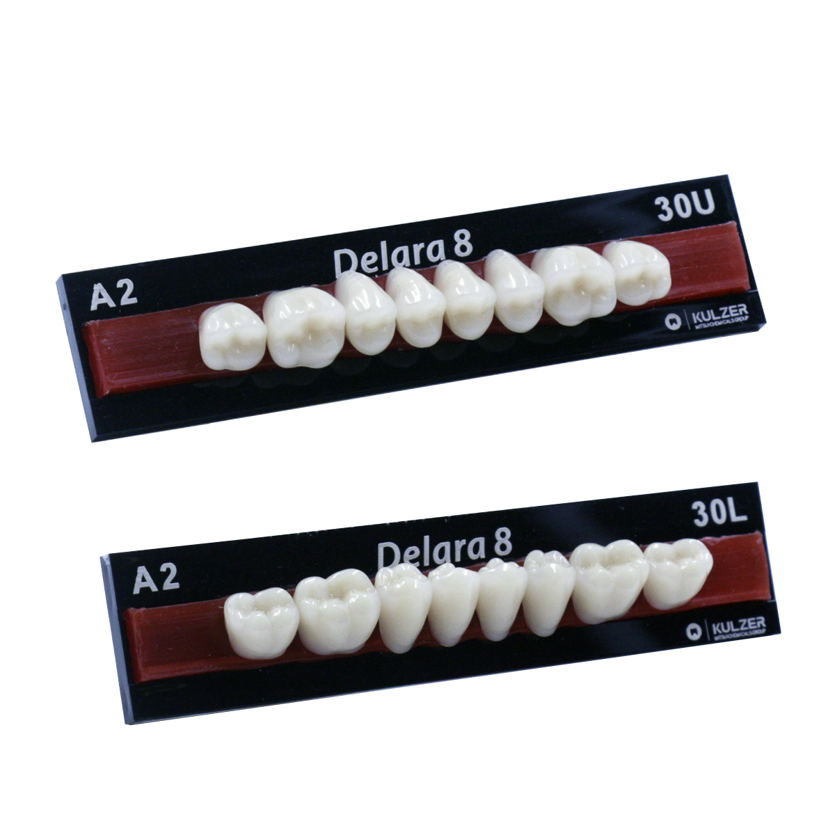 Dente Delara Anterior T44 S Bl3 1x6 134 - DentalABS